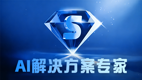 AI解决方案专家